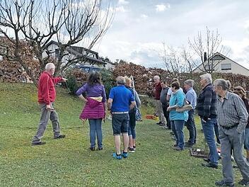 15 Interessierte besuchten den Baumschnittkurs des Obst- und Gartenbauvereins (OGV) Steinberg. Dort gab es praktische Anleitungen rund um das Thema Obstgeh&ouml;lzschnitt. Foto: hs
