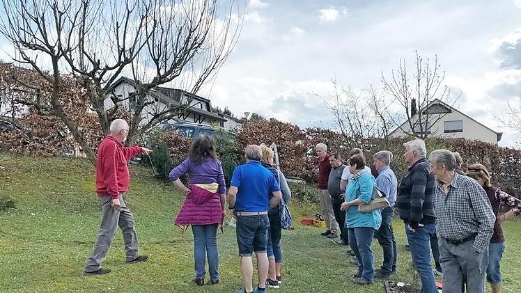 15 Interessierte besuchten den Baumschnittkurs des Obst- und Gartenbauvereins (OGV) Steinberg. Dort gab es praktische Anleitungen rund um das Thema Obstgeh&ouml;lzschnitt. Foto: hs
