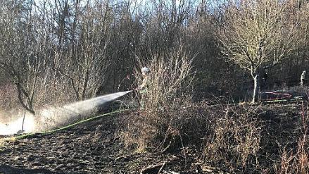 Schlimmeres verhindert haben die Feuerwehren Hofheim und Go&szlig;mannsdorf mit ihrem schnellen Einsatz. An einem Waldrand bei Go&szlig;mannsdorf brannte am Dienstag eine Freifl&auml;che von etwa 2500 Quadratmetern ab.