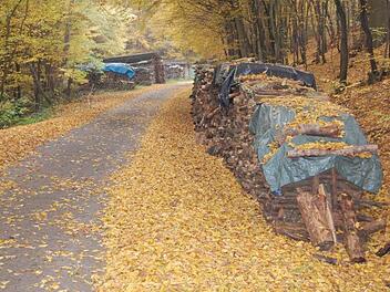 Brennholz vorhanden. Das zeigen die vielen Holzlagerplätze in Oberthulbas und seinen Gemeindeteilen. Dennoch wächst der Druck auf den Markt,  immer mehr Holz einzuschlagen.  Foto: Straub