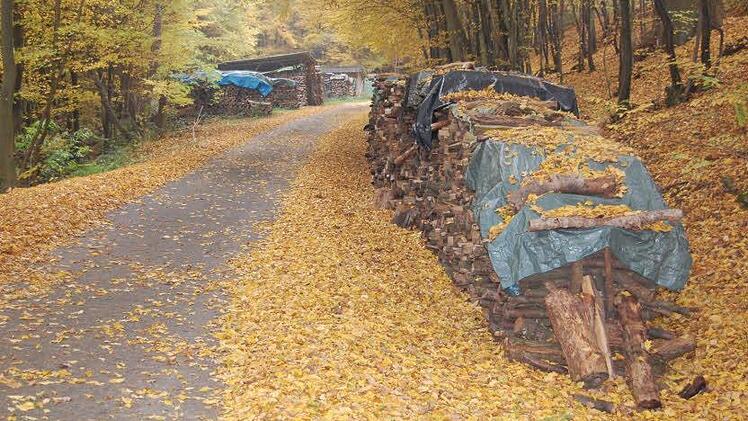 Brennholz vorhanden. Das zeigen die vielen Holzlagerplätze in Oberthulbas und seinen Gemeindeteilen. Dennoch wächst der Druck auf den Markt,  immer mehr Holz einzuschlagen.  Foto: Straub