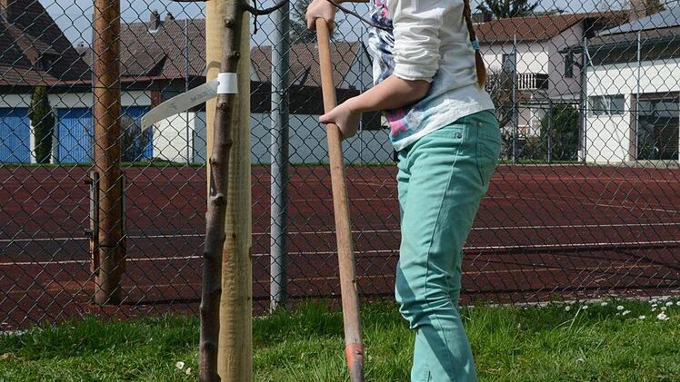 Impressionen vom Obstbaum-Pflanztag an der Grundschule Melkendorf  Foto: Dagmar Besand
