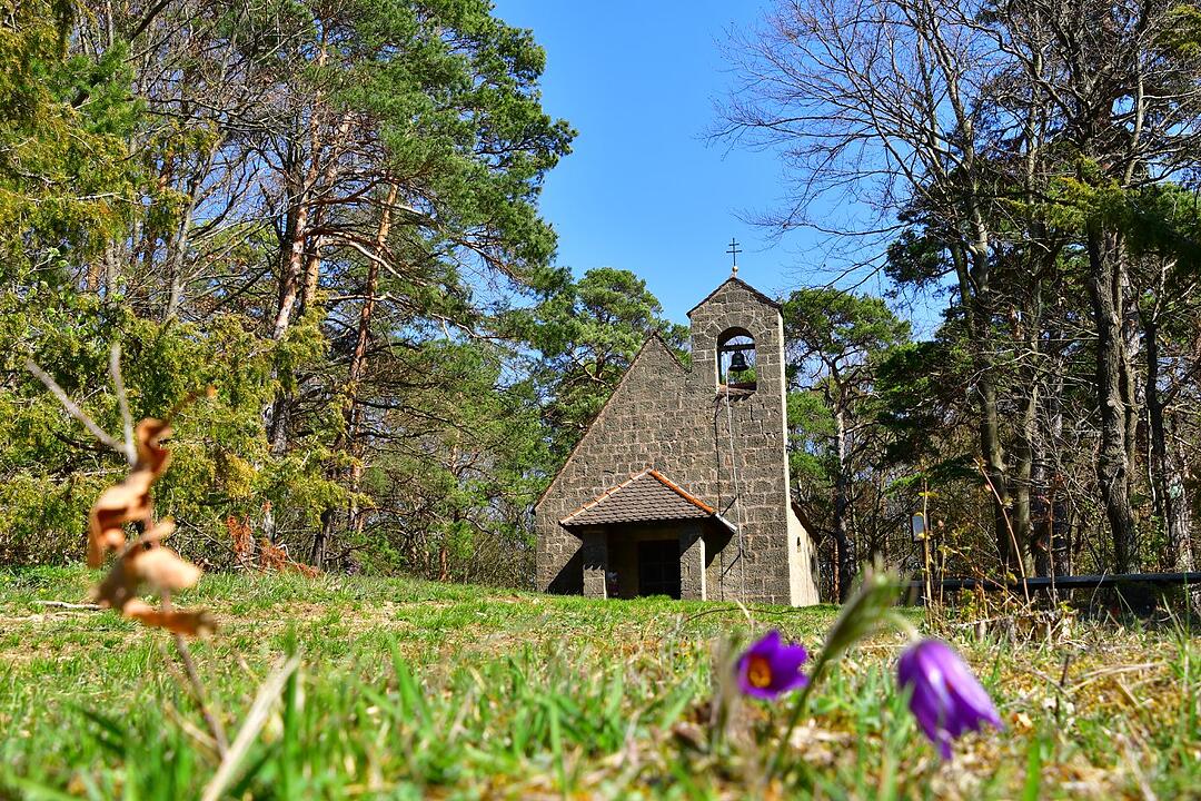 Die schönsten Frühlingsfotos aus Bad Kissingen und Umgebung