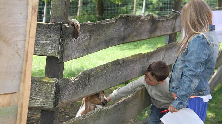 Und immer wieder gibt es Tiere zum Streicheln.
