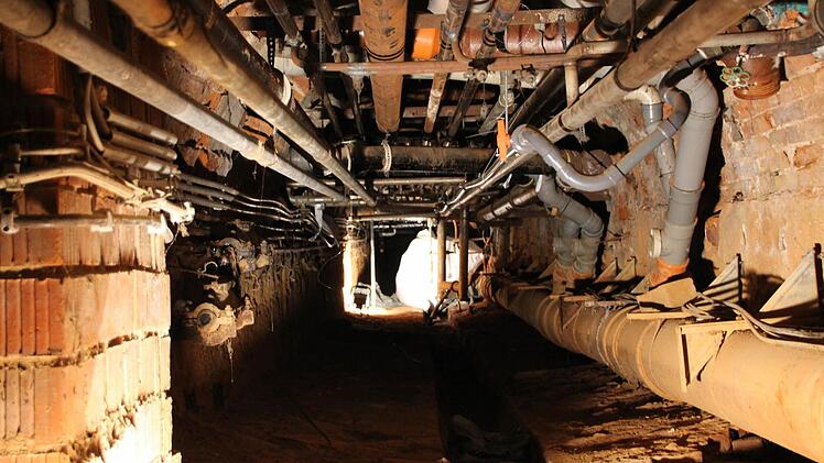 Wasserleitungen im historischen Keller Foto: Benedikt Borst