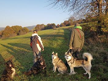 Tommy B.  (rechts) mit seinen vier Hunden und seiner Mutter. "Castro", (2.v.l.) hatte ein nicht sehr freundliches Zusammentreffen mit einem anderen Hund. Foto: Susanne Will