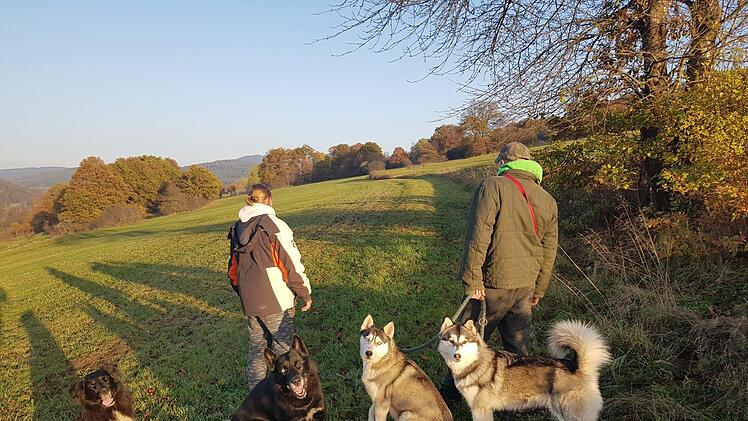 Tommy B.  (rechts) mit seinen vier Hunden und seiner Mutter. "Castro", (2.v.l.) hatte ein nicht sehr freundliches Zusammentreffen mit einem anderen Hund. Foto: Susanne Will