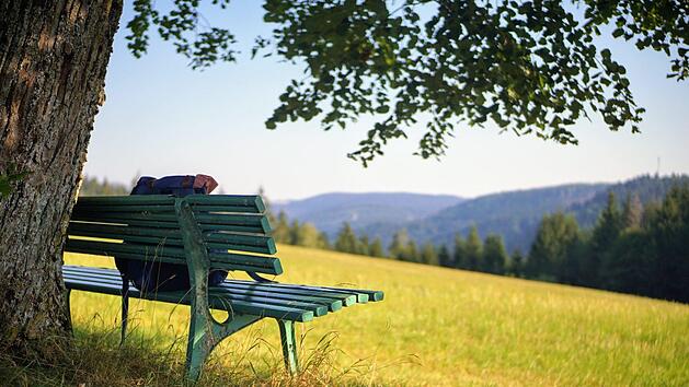 Warum nicht einfach von der eigenen Haust&uuml;r aus starten? Das haben sich auch zahlreiche Kronacher gedacht und sind zwischen Lockdown und Lockerungen durch den Frankenwald spaziert und gewandert. Foto: Bastian S&uuml;nkel