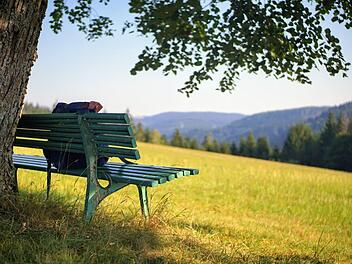 Warum nicht einfach von der eigenen Haustür aus starten? Das haben sich auch zahlreiche Kronacher gedacht und sind zwischen Lockdown und Lockerungen durch den Frankenwald spaziert und gewandert. Foto: Bastian Sünkel