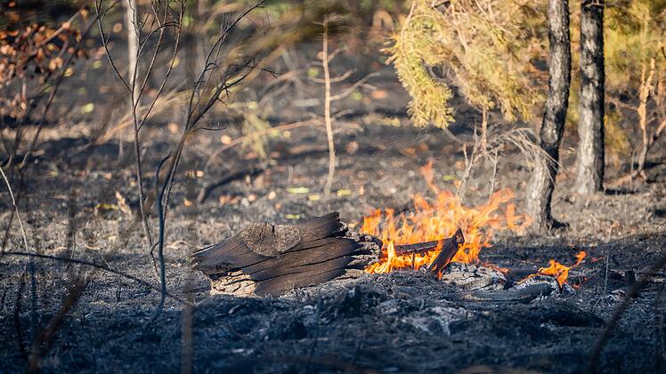 Waldbrand in Hessen