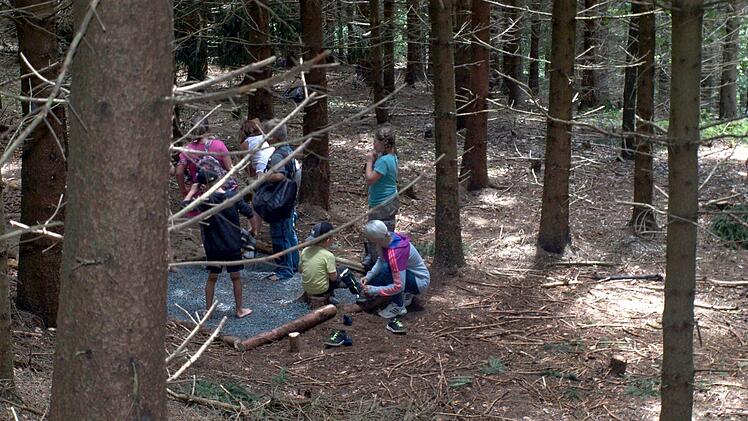 Mitten im Wald wurde ein Barfußweg angelegt. Foto: Susanne Deuerling