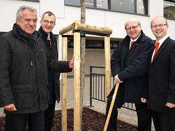Symbolisch für alle acht Baumpflanzungen steht der Kugelahorn im Innenhof des Bildungszentrums der Stadt Wallenfels. Von links Bürgermeister Peter Hänel, Vorstand Dir. Harry Weiß, Gebietsdirektor Alfred Kremer und Leiter Geschäftsstellen Steffen Haberzettl. Foto: Susanne Deuerling