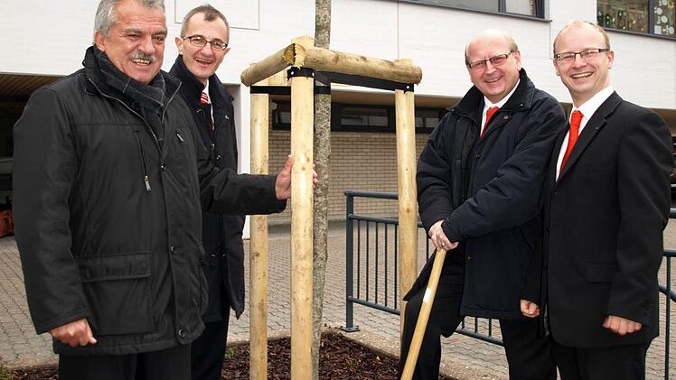 Symbolisch für alle acht Baumpflanzungen steht der Kugelahorn im Innenhof des Bildungszentrums der Stadt Wallenfels. Von links Bürgermeister Peter Hänel, Vorstand Dir. Harry Weiß, Gebietsdirektor Alfred Kremer und Leiter Geschäftsstellen Steffen Haberzettl. Foto: Susanne Deuerling