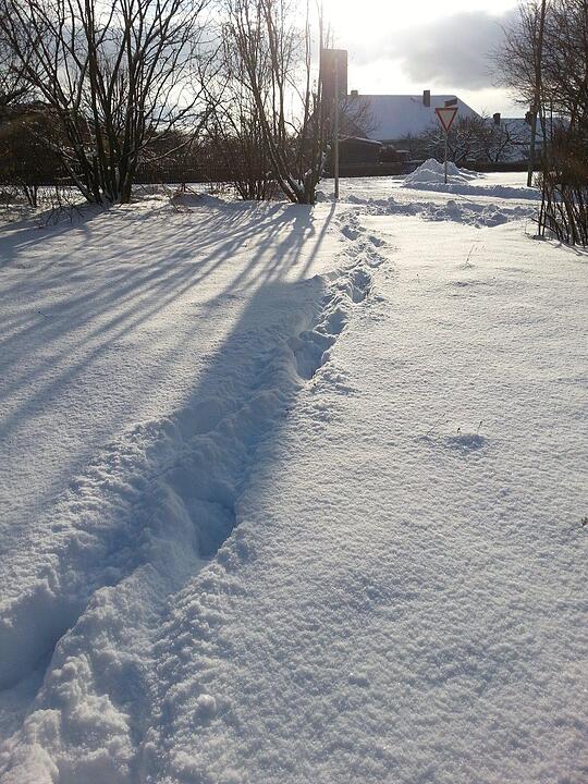 Schnee und Eis - Die schönsten Aufnahmen aus Franken