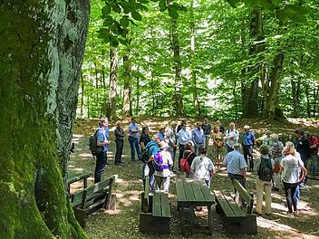 Das große Interesse an einem Schutzgebiet im Steigerwald zeigte sich auch bei einer Exkursion des Bamberger Stadtrats. Foto: Michael Wehner