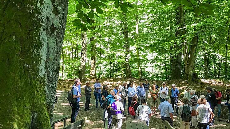 Das große Interesse an einem Schutzgebiet im Steigerwald zeigte sich auch bei einer Exkursion des Bamberger Stadtrats. Foto: Michael Wehner