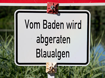 Blaualgen