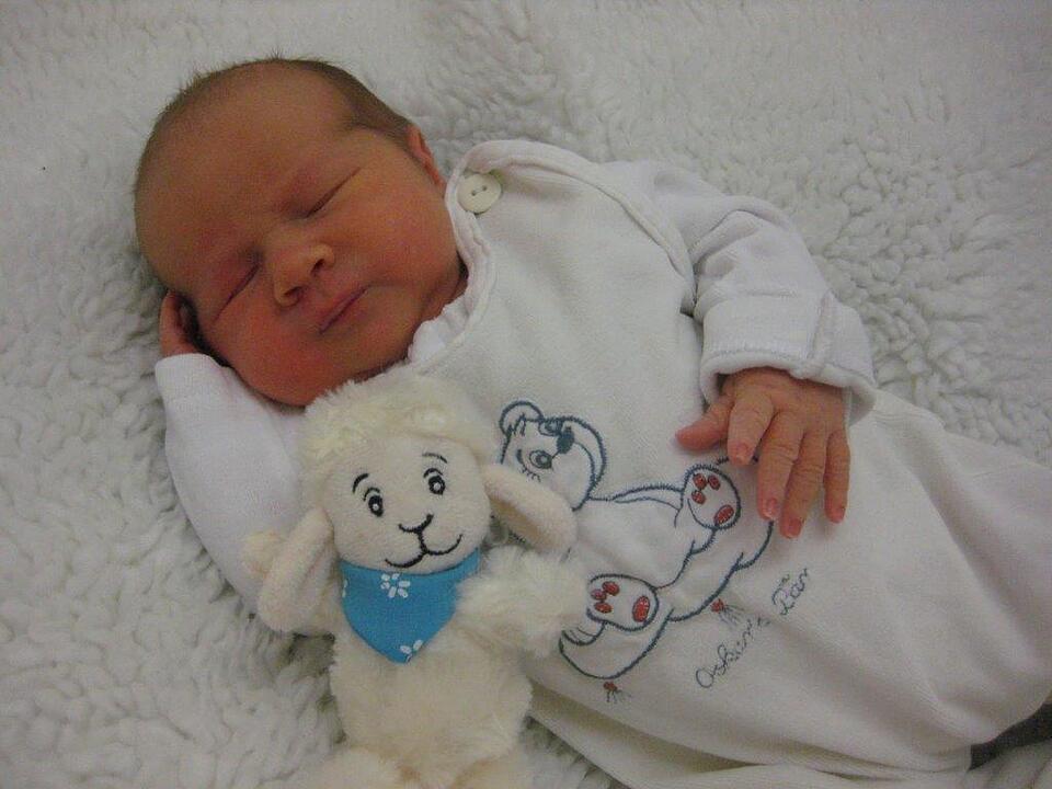 Babygalerie 338