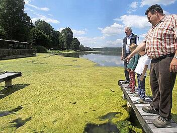 Norbert Ratzka zeigt den beiden Jungs Leo und Emil sowie Helmut Haselmann, wo die Boote normalerweise liegen. Nun sind dort Algen, die den Bootsbetrieb verhindern.  Foto: Michael Busch
