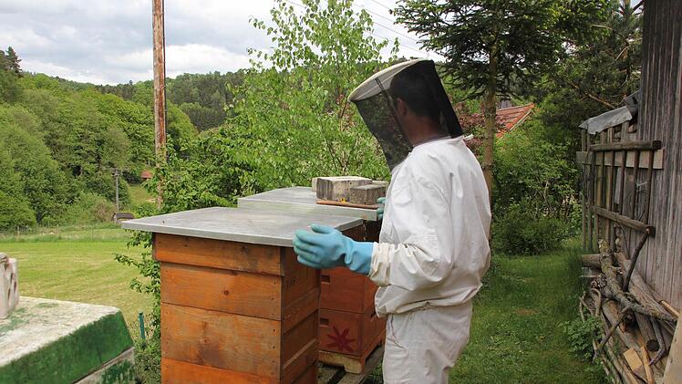 Klaus Ruppert an seinen Bienenkästen Foto: Friedwald Schedel