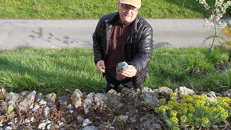 Eine Besonderheit in Dieter Walthers Garten: Kakteenhochbeet mit Mineralien Foto: Dagmar Besand