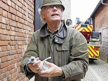 Auch das kleinste Küken hat die Nacht überlebt. Fotos: Arkadius Guzy