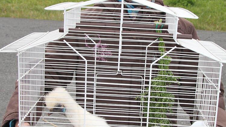 Marie Clostermann mit ihrem Seidenhuhn.