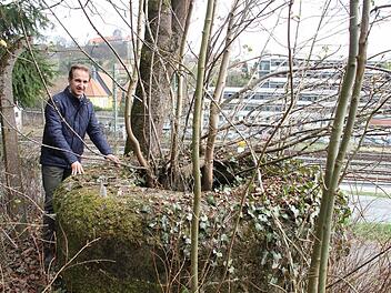 Kreisheimatpfleger Robert Wachter an der vermutlichen Flak-Stellung bei der Nordbrücke in Kronach  Fotos: Friedwald Schedel