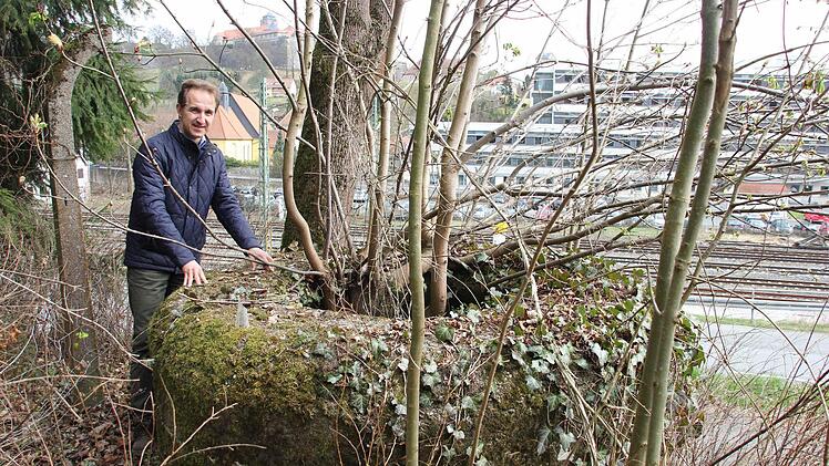 Kreisheimatpfleger Robert Wachter an der vermutlichen Flak-Stellung bei der Nordbrücke in Kronach  Fotos: Friedwald Schedel