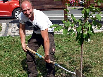 Er kann schon lachen, denn der Kirschbaum für Tochter Amelie steht; Papa Matthias schaufelt Erde über den Wurzelballen. Foto: Susanne Deuerling
