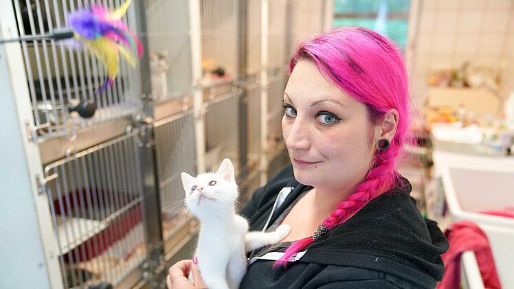 Tierheimleiterin Carina Wittmann mit einem von derzeit 48 Katzenbabys. Foto: Adriane Lochner