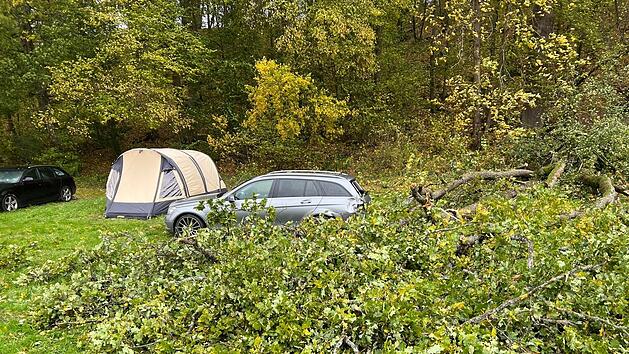 Diese Eiche fiel auf den Mercedes eines Ehepaars aus den Niederlanden. Links daneben das Zelt, das beide noch rechtzeitig verlassen konnten, als der Sturm durch den Wald hinter der Firma Trigema in Bad Kissingen tobte. Foto: Marinus Hoogendoorn