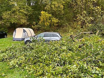 Diese Eiche fiel auf den Mercedes eines Ehepaars aus den Niederlanden. Links daneben das Zelt, das beide noch rechtzeitig verlassen konnten, als der Sturm durch den Wald hinter der Firma Trigema in Bad Kissingen tobte. Foto: Marinus Hoogendoorn