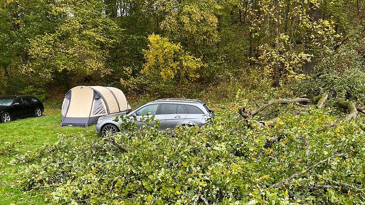 Diese Eiche fiel auf den Mercedes eines Ehepaars aus den Niederlanden. Links daneben das Zelt, das beide noch rechtzeitig verlassen konnten, als der Sturm durch den Wald hinter der Firma Trigema in Bad Kissingen tobte. Foto: Marinus Hoogendoorn