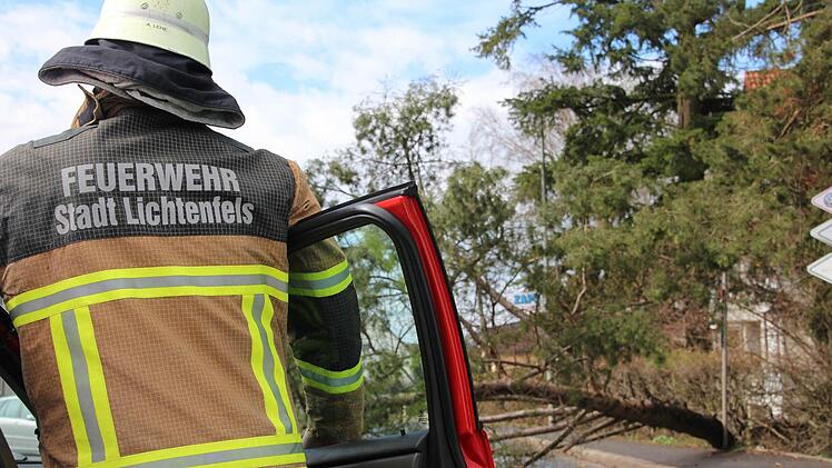 Insgesamt 29 Einsätze, davon zwölf wegen umgefallener Bäume, hatten die Feuerwehren im Landkreis Lichtenfels am Dienstag zu verzeichnen.   Foto: Anja Greiner