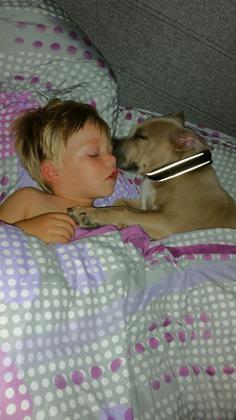 Foto: Robeert