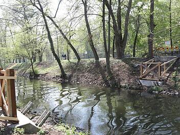 Der Steg fehlt weiterhin: Der Hollergraben kann auf Höhe der Ottostraße in Bamberg auch beim Weltkulturerbelauf nicht überquert werden.  Foto: Barbara Herbst