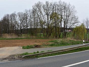 Vor der Baumreihe werden der Parkplatz und ein Gebäude entstehen, hinter dem  Bach und der Baumreihe werden die Chalets und Stelzenhäuser errichtet. Foto: Petra Malbrich