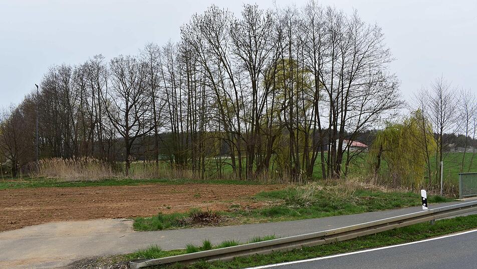 Vor der Baumreihe werden der Parkplatz und ein Gebäude entstehen, hinter dem  Bach und der Baumreihe werden die Chalets und Stelzenhäuser errichtet. Foto: Petra Malbrich