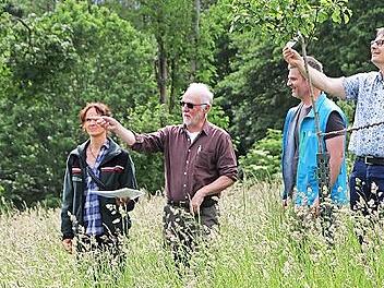 Zur ökologischen Ausgleichsfläche aufgewertet wurden drei Hektar Land auf dem Bergfeld. Revierförsterin Anja Mörtlbauer, Frank Hömberg, Alexander Kusche von der Naturschutzbehörde im Landratsamt und Bürgermeister Roland Wolfrum (von links) begutac...