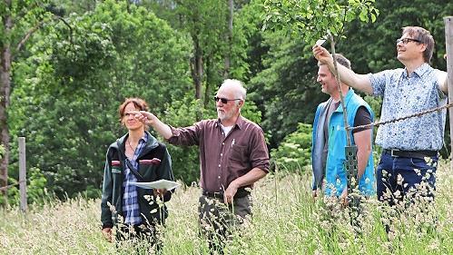 Zur ökologischen Ausgleichsfläche aufgewertet wurden drei Hektar Land auf dem Bergfeld. Revierförsterin Anja Mörtlbauer, Frank Hömberg, Alexander Kusche von der Naturschutzbehörde im Landratsamt und Bürgermeister Roland Wolfrum (von links) begutac...