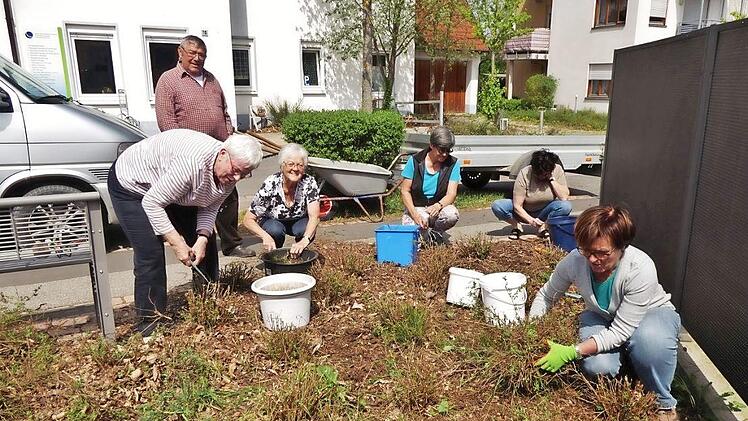 Die Bürgercafé-Damen scheuen keine Arbeit. Bei Bedarf helfen sie sogar bei der Pflege der Grünanlagen um das Seniorenzentrum. Foto: Kleinert