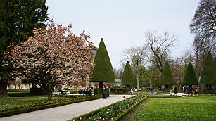 Blühendes Würzburg