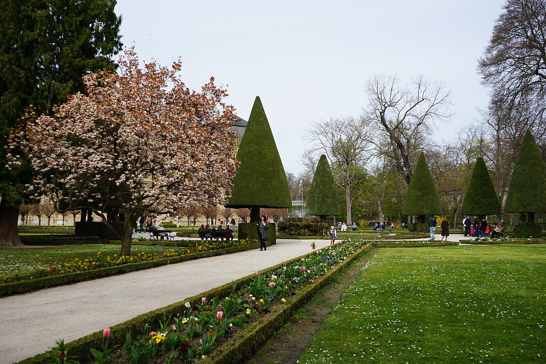 Blühendes Würzburg