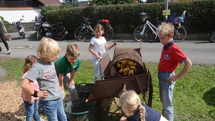 Erst müssen die Kartoffeln gewaschen und geschält werden bevor sie weiter verarbeitet werden können. Foto: Karl-Heinz Hofmann