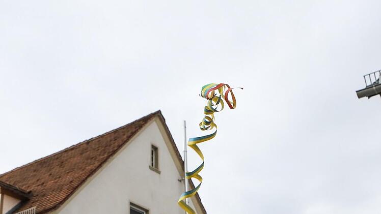Faschingsumzug in der Bamberger Gartenstadt Foto: Barbara Herbst
