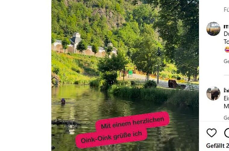 TV-Legende geht in Oberfranken baden - Einheimische empfehlen "Sauloch"