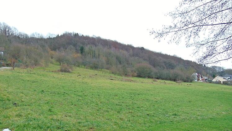 Das Baugebiet "Weber" in Weißenohe  Foto: Petra Malbrich