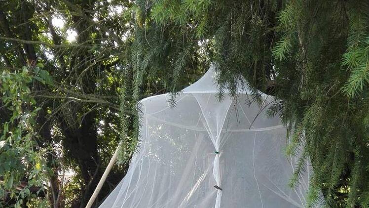 Das letzte freie Bett fand der Pilger einmal im Garten einer Unterkunft.Robert Reuscher