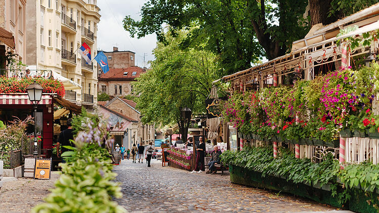 Belgrade, Serbia - June 16, 2018. Flowers in pots on historic place Skadarlija with trees, cafes, cobbled lanes and alleys in downtown. Bohemian street with bars and restaurants.